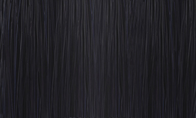 Color Me Gloss 1.11 / 1AA Black Ash Intense