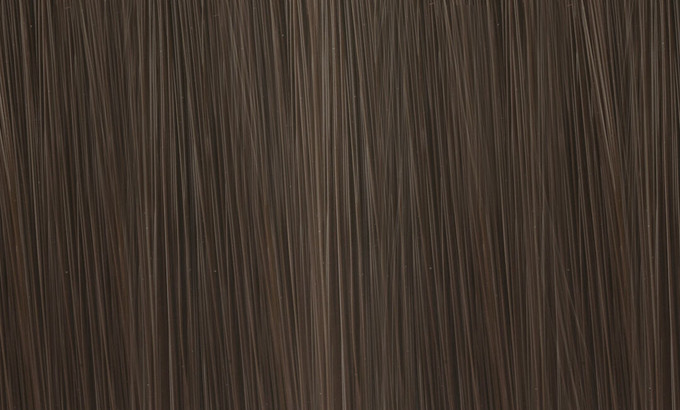 Color Me Gloss 6.7 / 6ch Dark Blonde Chocolate