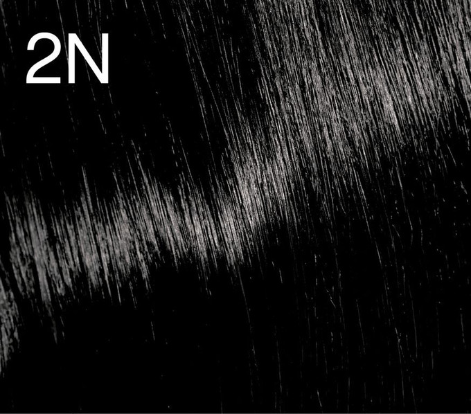 Color Me Kevin Murphy +Code 2.0/2N Natural 