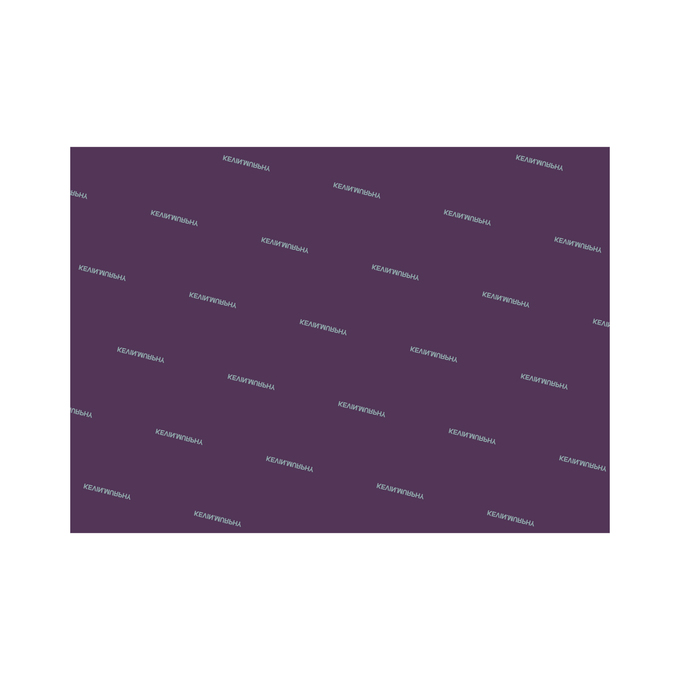  Kevin Murphy Holiday Tissue Paper 